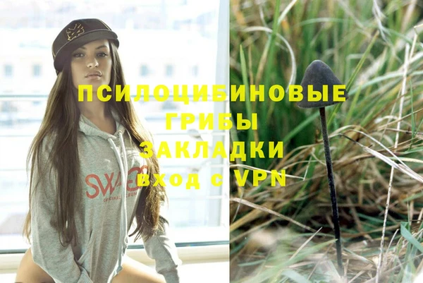 эйфоретик Алзамай