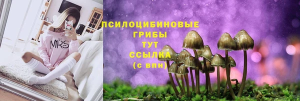 эйфоретик Алзамай